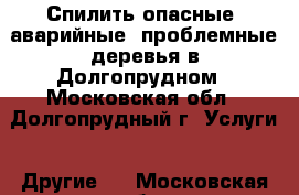 Спилить опасные, аварийные, проблемные деревья в Долгопрудном - Московская обл., Долгопрудный г. Услуги » Другие   . Московская обл.
